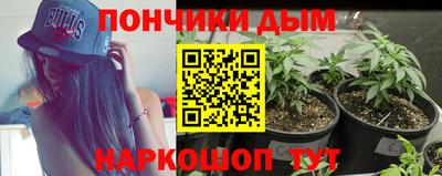 спиды Гагарин