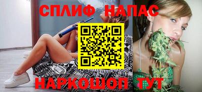 спиды Гагарин